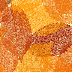 Image showing Dry autumn leaves template. EPS 8