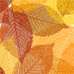 Image showing Dry autumn leaves template. EPS 8