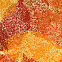 Image showing Dry autumn leaves template. EPS 8