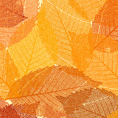 Image showing Dry autumn leaves template. EPS 8