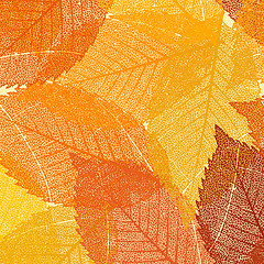 Image showing Dry autumn leaves template. EPS 8