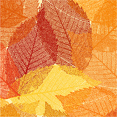 Image showing Dry autumn leaves template. EPS 8