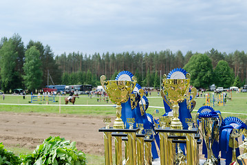 Image showing Horse racing cups awards prepared for winners 