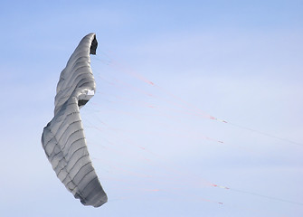 Image showing Parachute