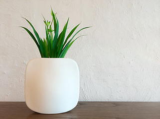 Image showing Decorative plant in white vase