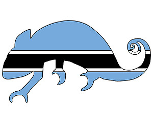 Image showing Botswana Chameleon