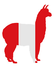 Image showing Peruvian alpaca