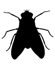 Image showing Fly silhouette