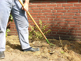 Image showing Man with long stemmed cultivator is working 