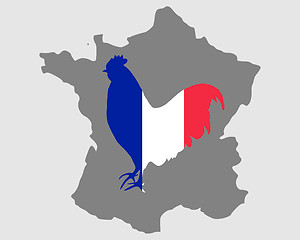 Image showing French cock