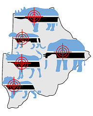 Image showing Big Five cross hairs Botswana