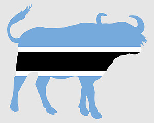 Image showing Botswana buffalo 