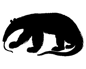 Image showing Anteater Silhouette