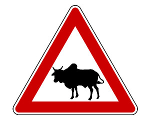 Image showing Zebu warning sign