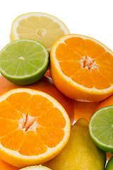 Image showing Citrus Fruits