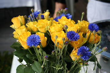 Image showing Swedish colors