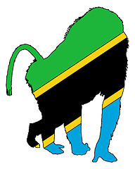 Image showing Baboon Tanzania