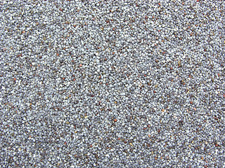Image showing Background picture as close-up view on poppy seeds