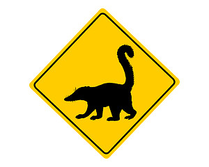 Image showing Coati warning sign