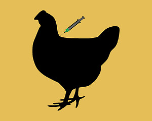 Image showing Hen gets an immunization against bird flu on light brown background