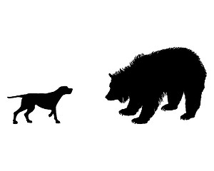 Image showing Two animals, setter and grizzly bear meet face to face