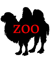 Image showing Zoo animals