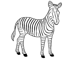 Image showing Zebra Stripes