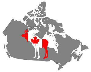 Image showing Canadian moose