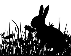 Image showing Rabbit in the meadow