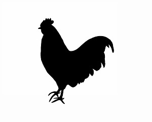 Image showing Black silhouette of a cock on white