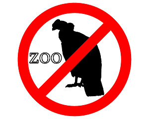 Image showing Condor in zoo prohibited