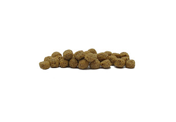 Image showing Dog food 