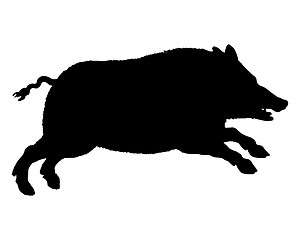 Image showing The black silhouette of a running wild pig on white