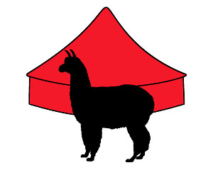 Image showing Alpaca in circus 