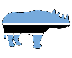 Image showing Botswana black rhino