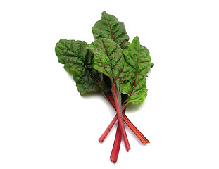 Image showing Four red stemmed chard leaves crossed on white background