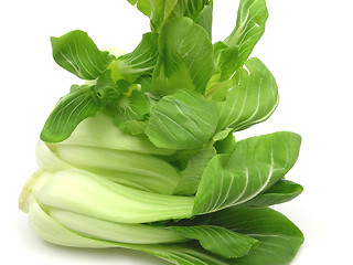 Image showing Pak choi arranged on a white background