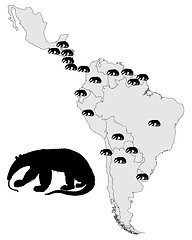 Image showing Giant anteater range