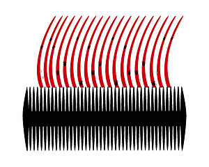 Image showing Lice comb and hair with nits on white background