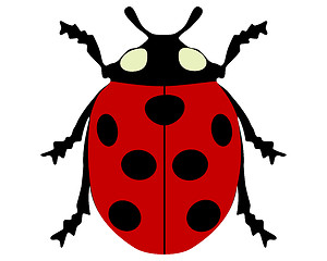 Image showing Ladybird isolated