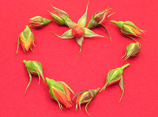 Image showing Rose buds arranged as heart on red felt