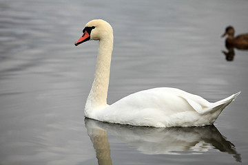 Image showing  pure white angel