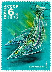 Image showing Stamp printed by Russia, shows White-blooded pikes
