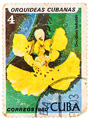Image showing Stamp printed in the Cuba shows Oncidium Leiboldii, Orchid