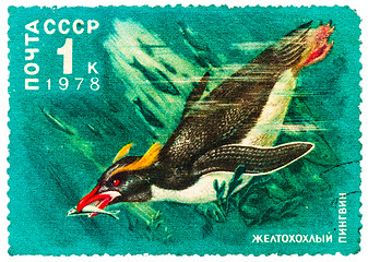 Image showing Stamp printed by Russia, shows Crested penguin