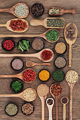 Image showing Spices and Herbs