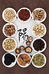 Image showing Yang Herb Selection