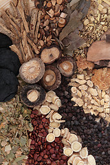 Image showing Chinese Herbs