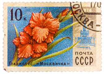 Image showing Stamp printed in USSR (CCCP, soviet union) shows image of gladio