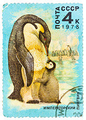 Image showing Stamp printed by Russia, shows Emperor penguin and chick